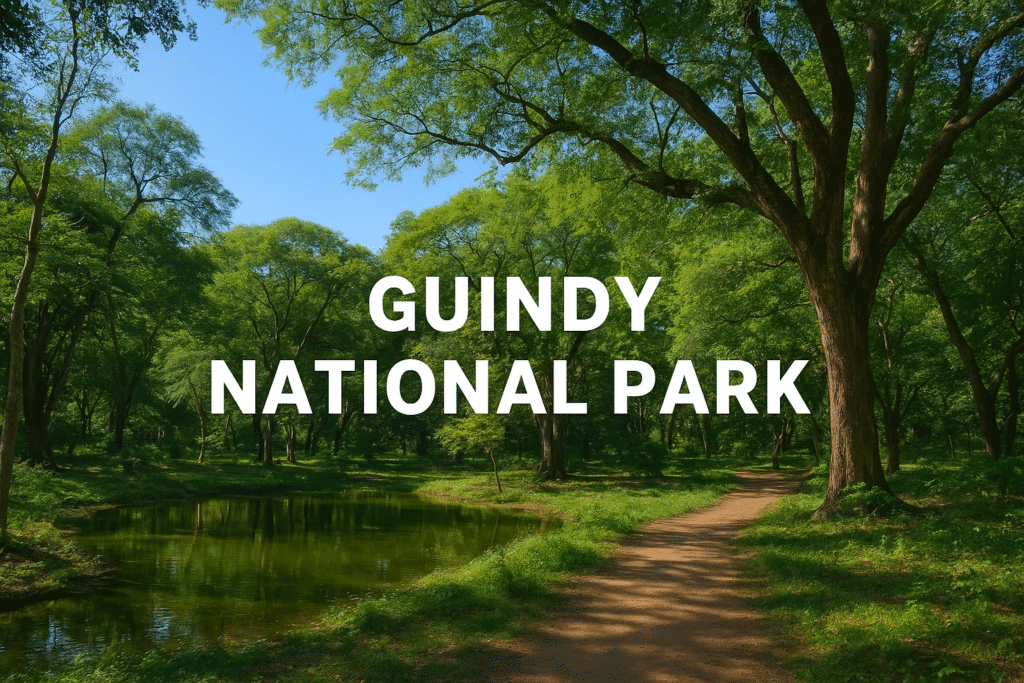 Guindy National Park